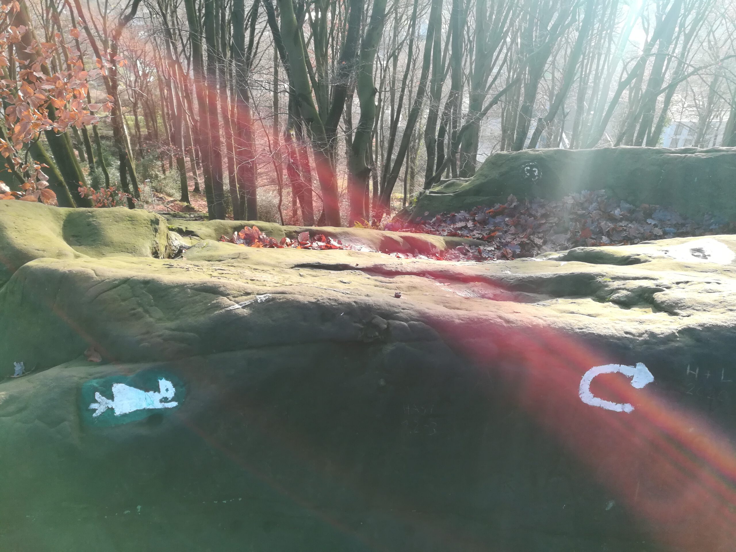 Auf einem Felsen ist eine kleine Hexe abgebildet, die auf einem Besen fliegt. Es handelt sich um das Naturdenkmal Hexenküche im Tecklenburger Wald.